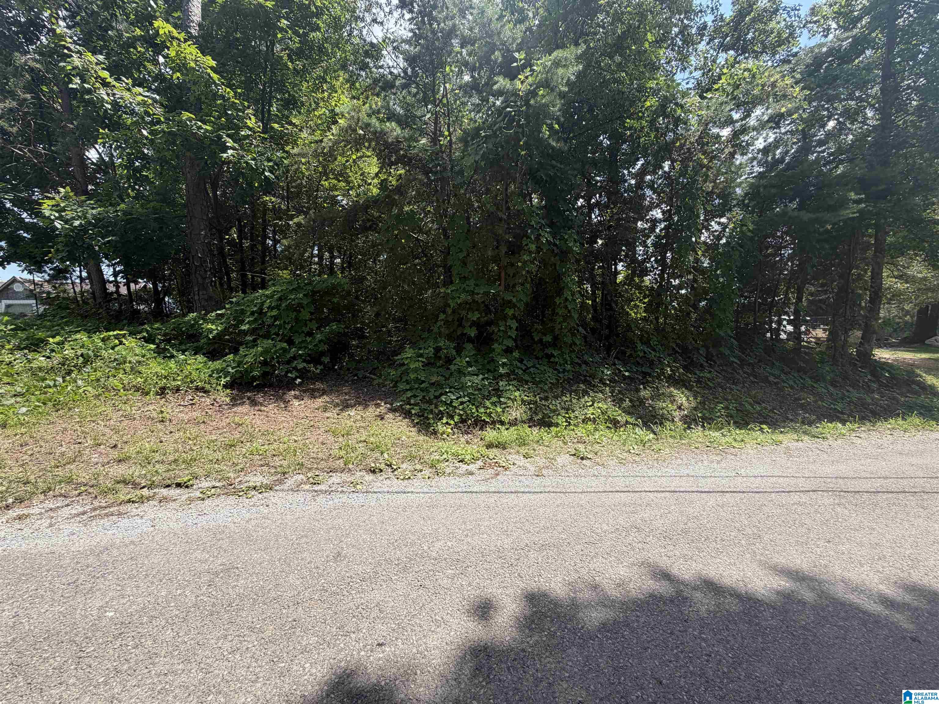 0 Holliday Drive, Unit 6 Oneonta, AL 35121 - Photo 1 of 3
