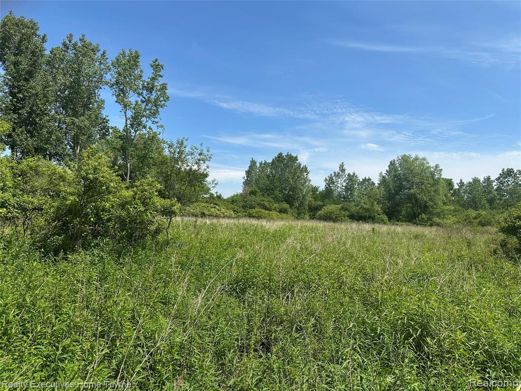 0 Kilburn Road Jeddo, MI 48032 - Photo 3 of 5