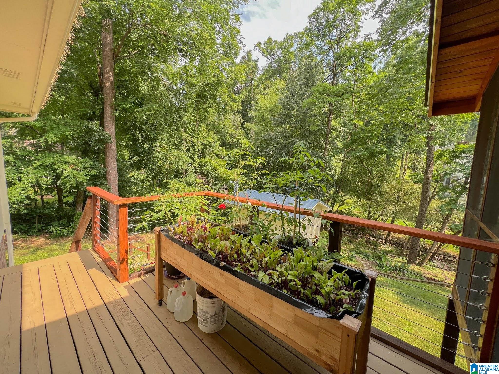 201 Wind Ridge Northeast Jacksonville, AL 36265 - Photo 18 of 43