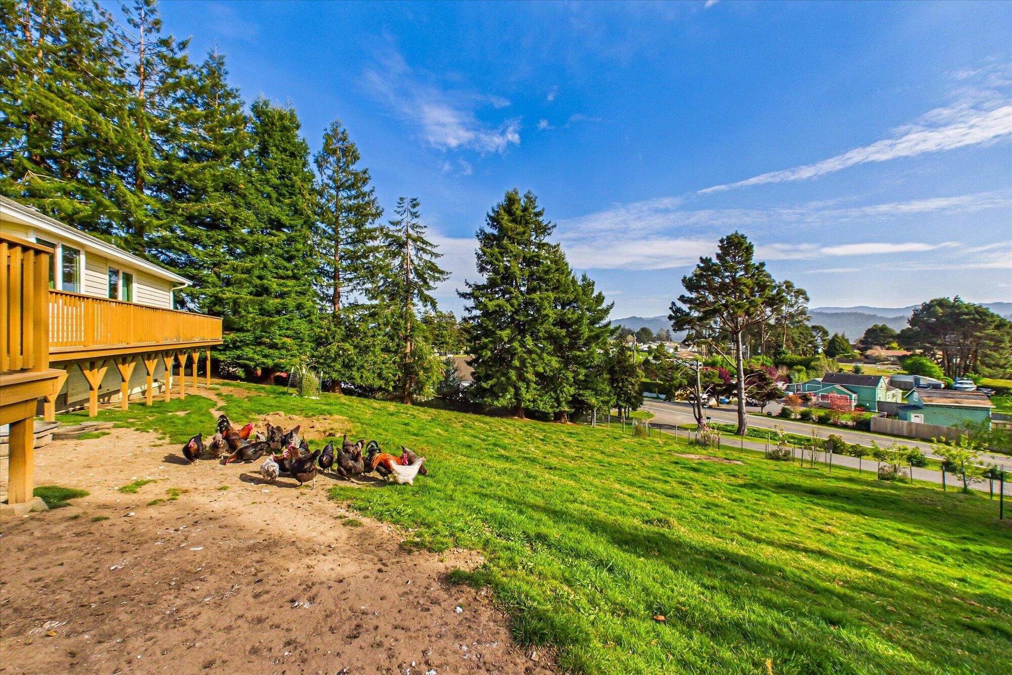 6699 Rohnerville Road Hydesville, CA 95547 - Photo 46 of 54