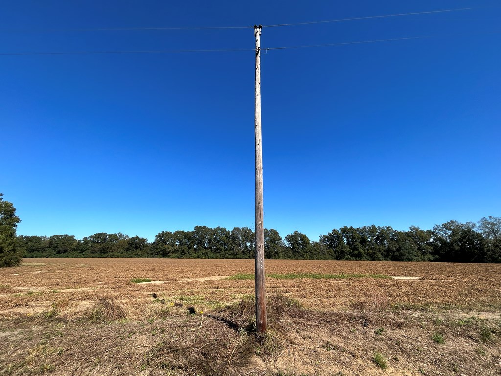 5.107-ac 5.107-ac Road Cottonwood, AL 36320 - Photo 3 of 19