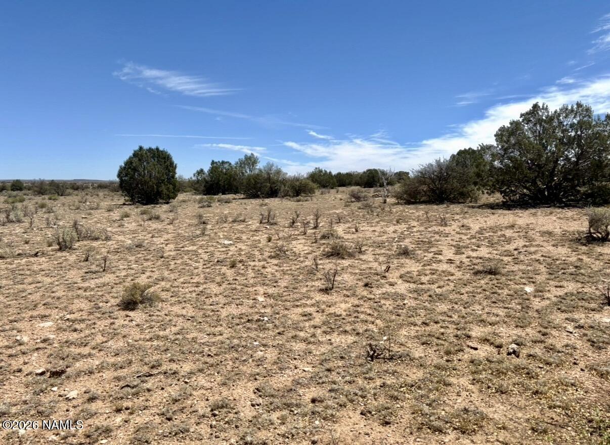 8530 Northstar Road Williams, AZ 86046 - Photo 2 of 7 IMG_2947