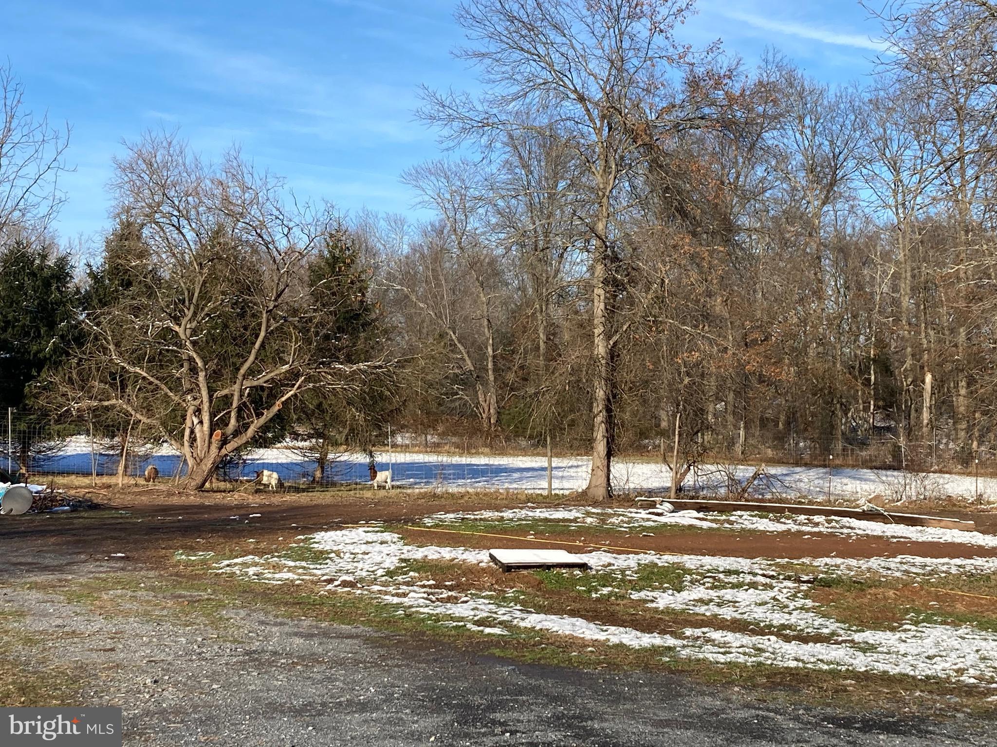 21315 Whites Ferry Road Poolesville, MD 20837 - Photo 16 of 41