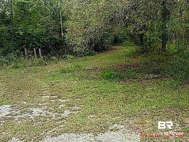 17999 Hansel Hodges Road Elberta, AL 36530 - Photo 1 of 1