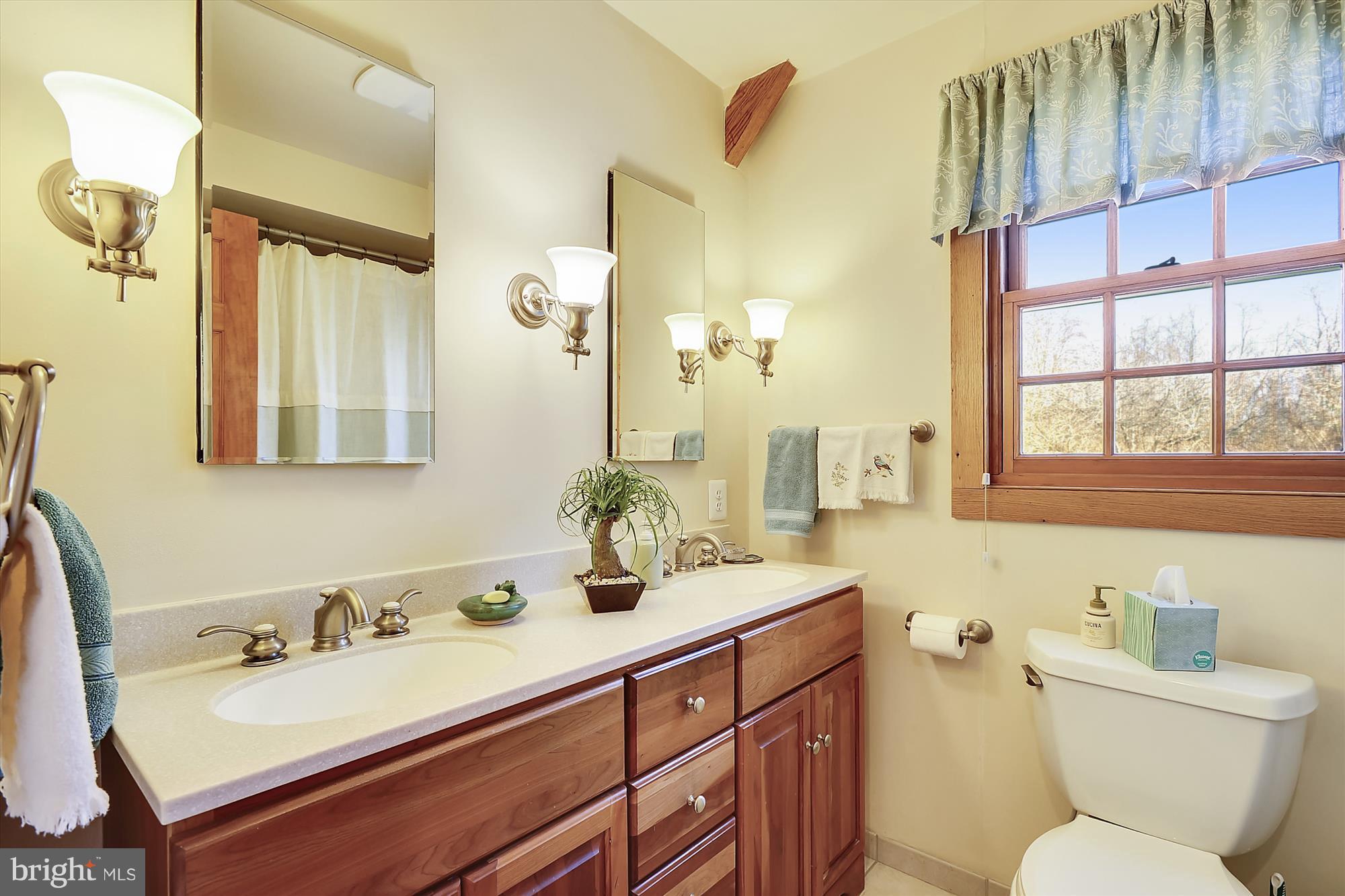 20296 Watermill Road Purcellville, VA 20132 - Photo 17 of 29 Bath (Master)