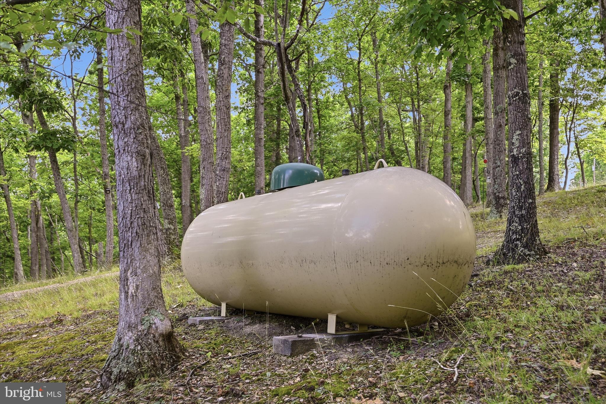2858 Crossings View Road Paw Paw, WV 25434 - Photo 37 of 69 500 gallon propane tank that is about 75% full