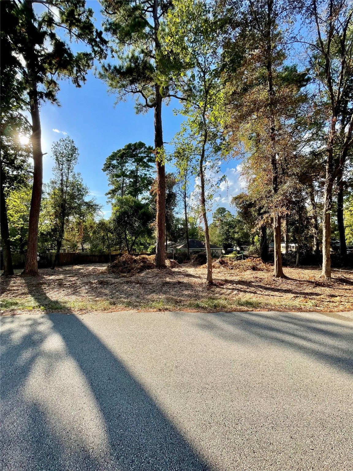 0 Spring Creek Drive Spring, TX 77380 - Photo 3 of 9