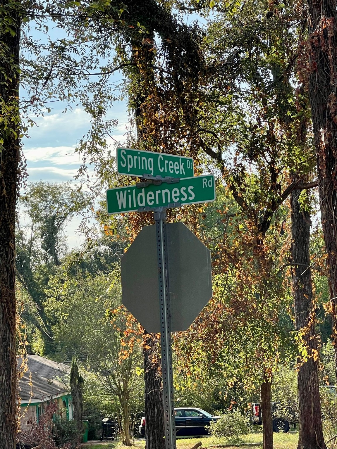 0 Spring Creek Drive Spring, TX 77380 - Photo 9 of 9