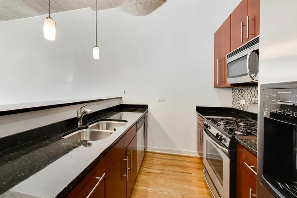 $344,900 | 1110 West 15th Street, Unit 125, Chicago, IL 60608