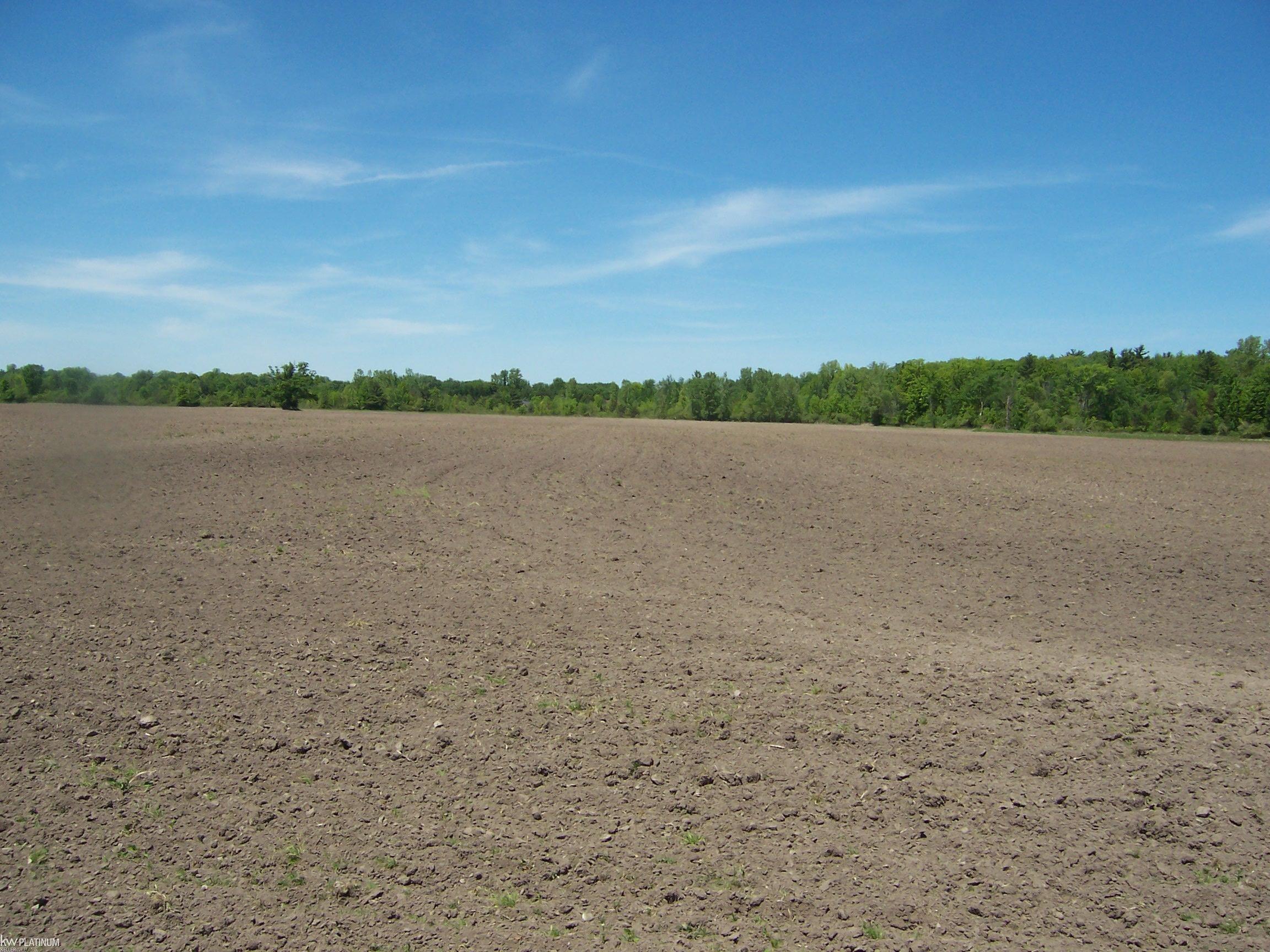 Lot 7 Lapeer Road Smiths Creek, MI 48074 - Photo 2 of 2