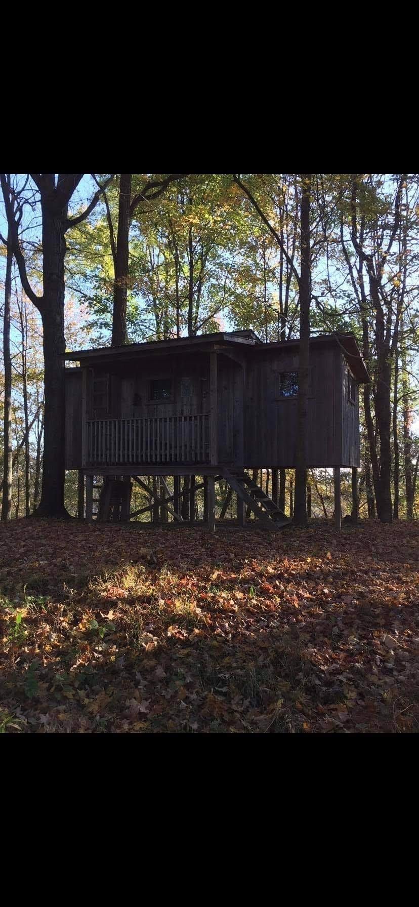 118 Middle Fork Road Burton, WV 26562 - Photo 29 of 30 Gallery Image 29