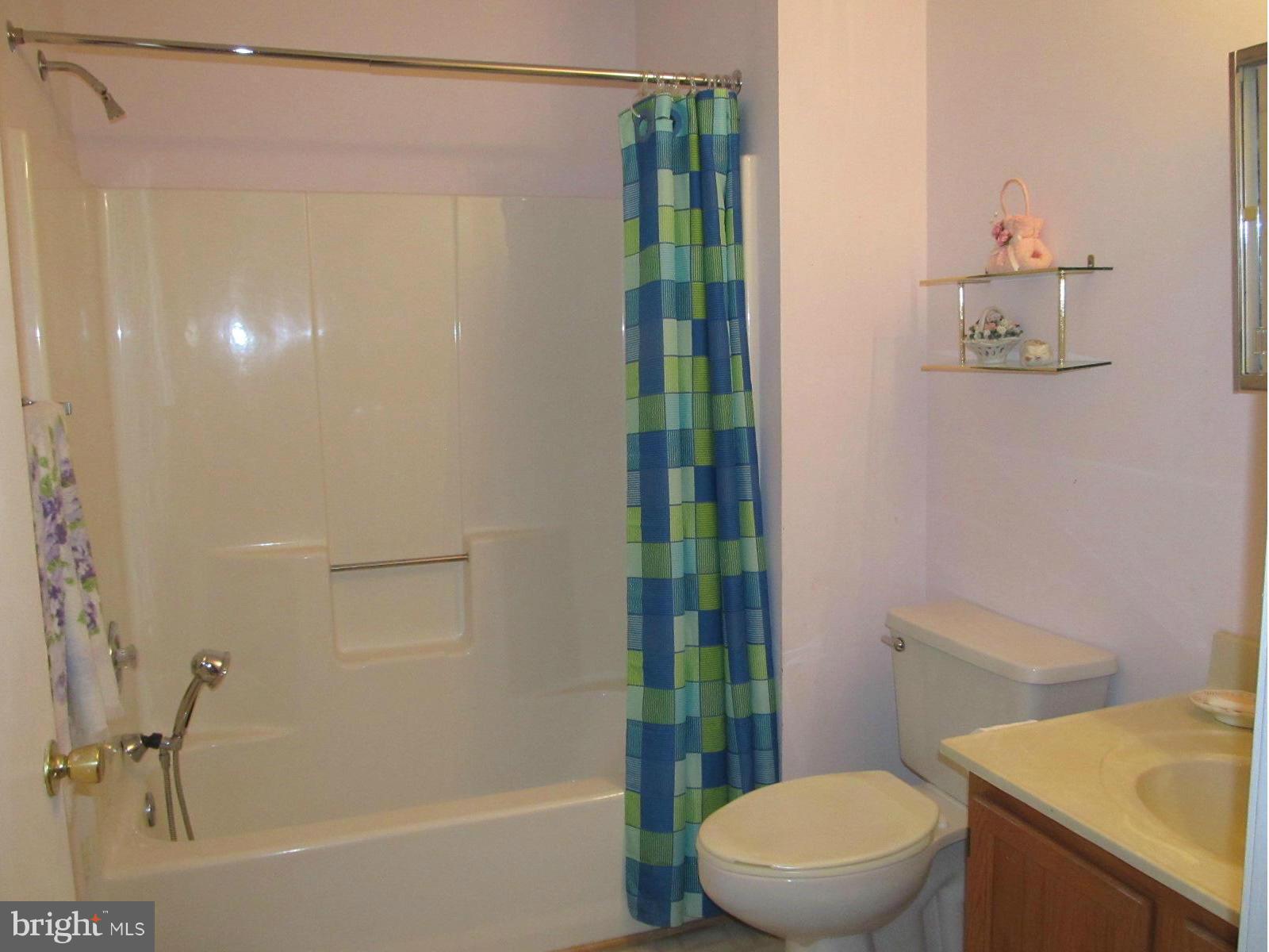 9256 Cherry Lane, Unit 24 Laurel, MD 20708 - Photo 17 of 21 Bath (Master)
