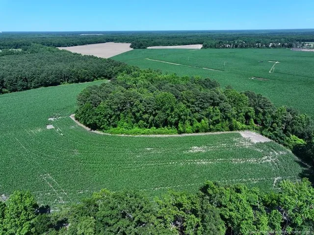 a view of a field with an ocean view