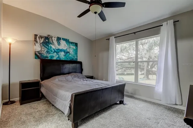 a view of a yard with plants and large trees