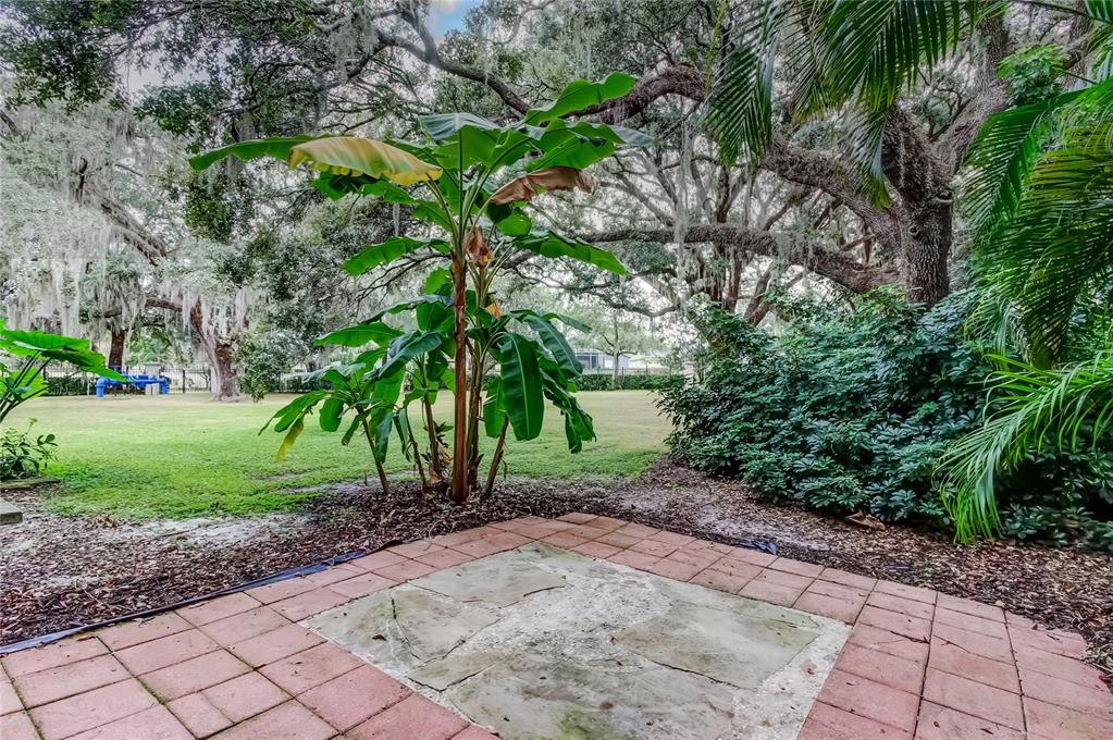 1138 Hillhurst Drive Wesley Chapel, FL 33543 - Photo 41 of 65 a view of a yard with plants and large trees