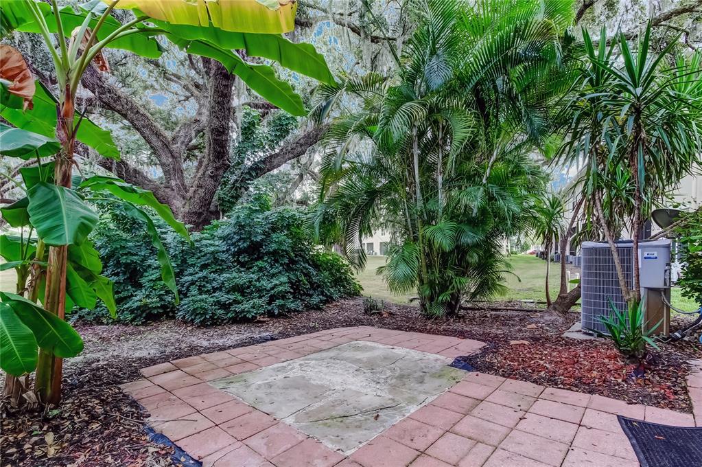 1138 Hillhurst Drive Wesley Chapel, FL 33543 - Photo 42 of 65 a view of outdoor space and yard