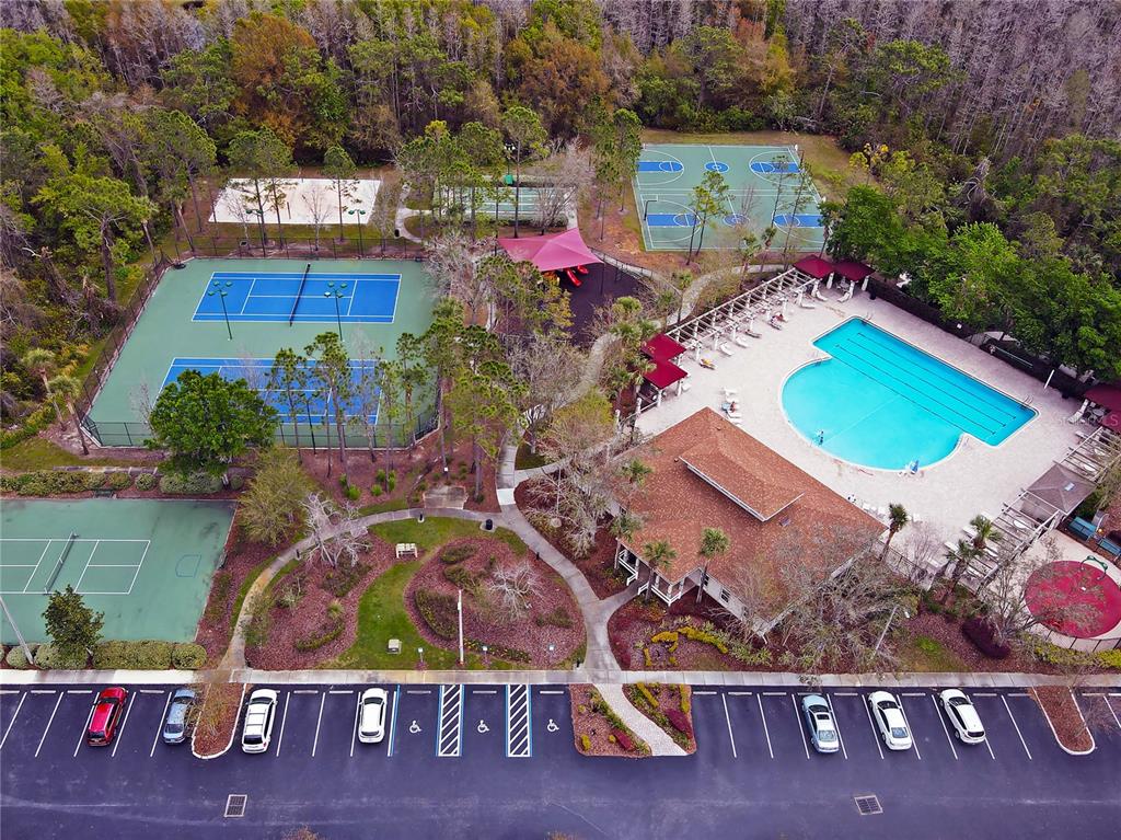 1138 Hillhurst Drive Wesley Chapel, FL 33543 - Photo 51 of 65