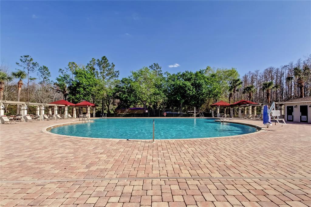 1138 Hillhurst Drive Wesley Chapel, FL 33543 - Photo 54 of 65 a view of outdoor space yard and swimming pool