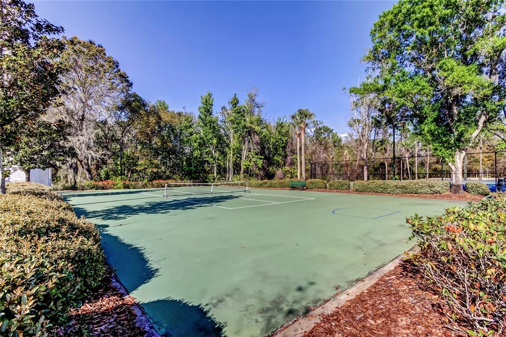 1138 Hillhurst Drive Wesley Chapel, FL 33543 - Photo 58 of 65 a view of a park
