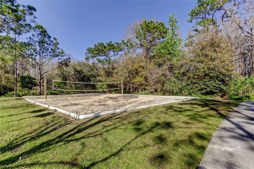 1138 Hillhurst Drive Wesley Chapel, FL 33543 - Photo 62 of 65