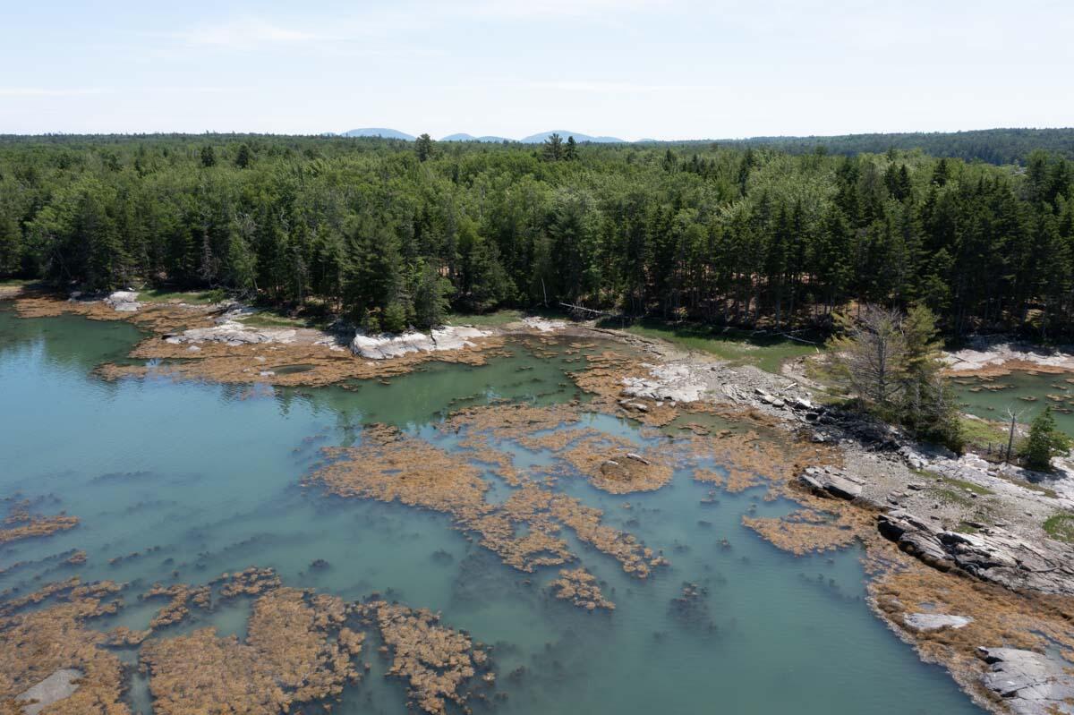 Lot #4 Seal Point Road Lamoine, ME 04605 - Photo 5 of 9 S (35)