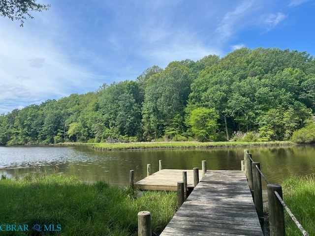 590 Wilton Creek Road Hartfield, VA 23071 - Photo 4 of 41