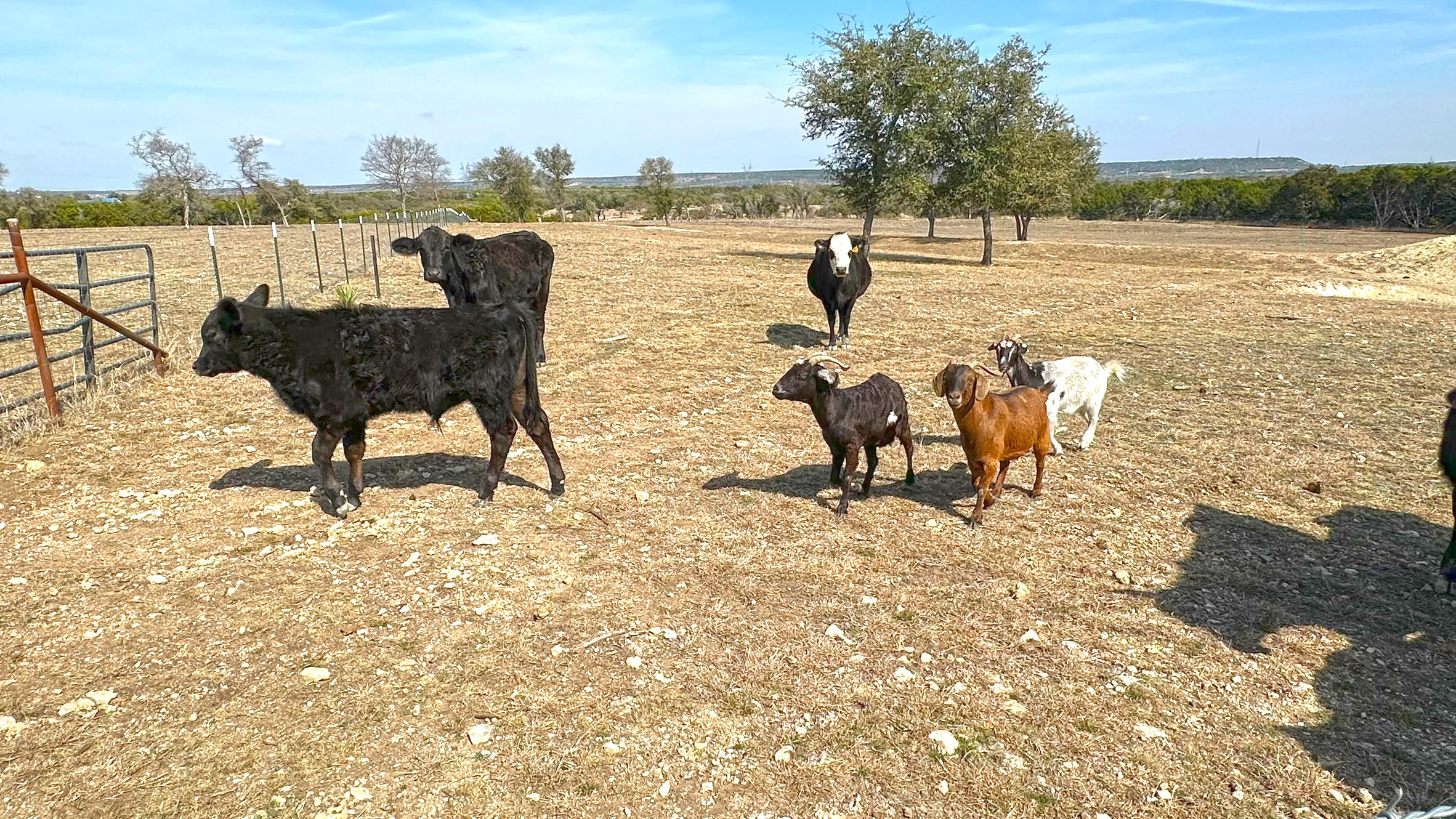 Tbd Whitetail Ridge Drive Kempner, TX 76539 - Photo 14 of 22 View of Pasture and home site location view of countryside