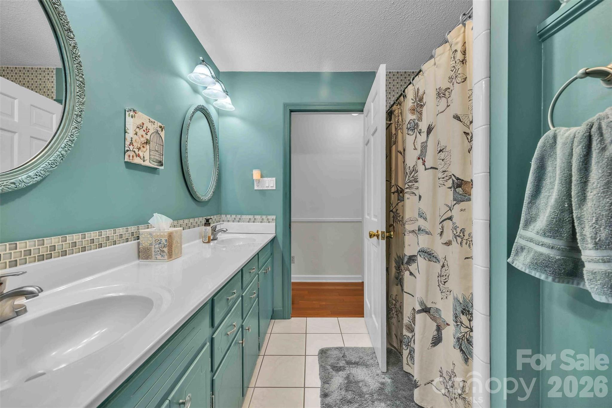 137 Proust Road Statesville, NC 28625 - Photo 23 of 47 a bathroom with a sink and a mirror