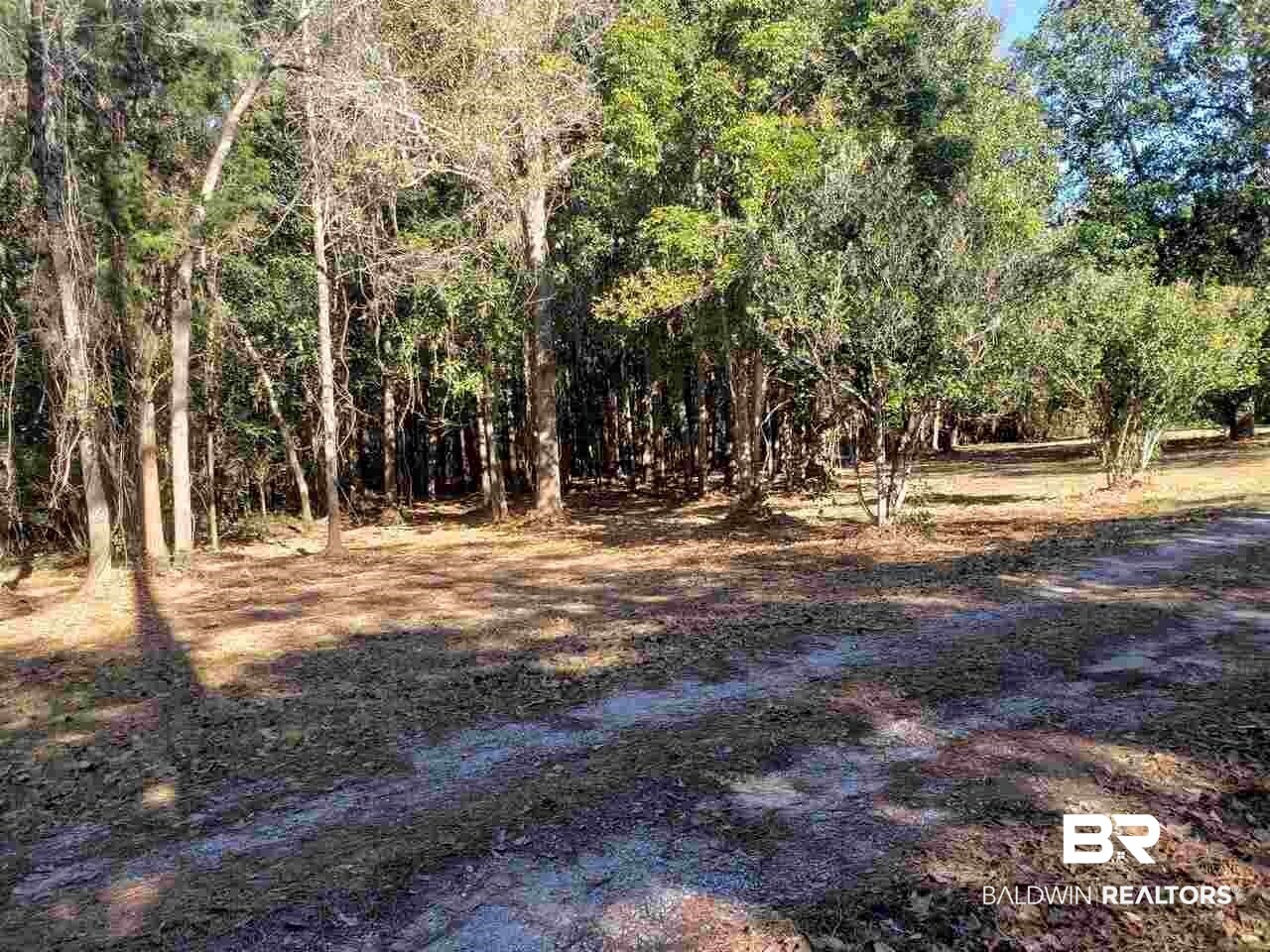 21655 Highway 98 Foley, AL 36535 - Photo 19 of 22
