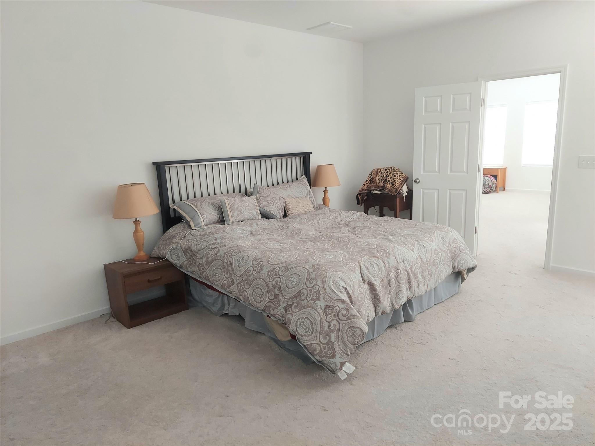 2061 Argentum Avenue Fort Mill, SC 29707 - Photo 3 of 25