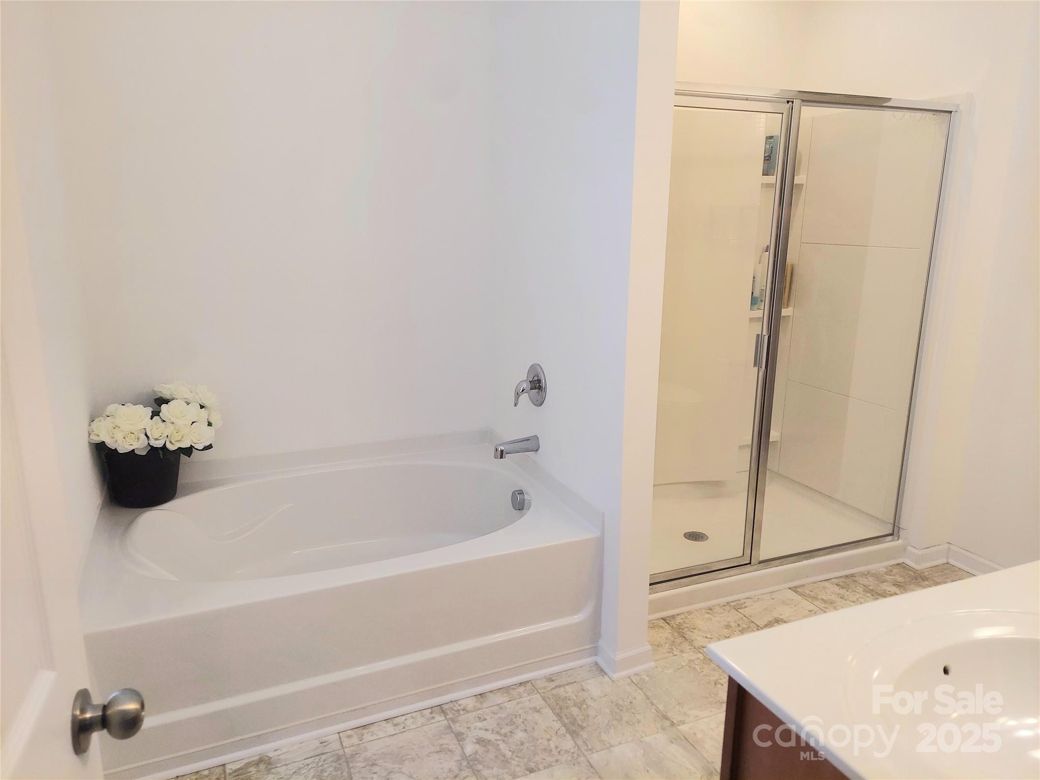 2061 Argentum Avenue Fort Mill, SC 29707 - Photo 6 of 25