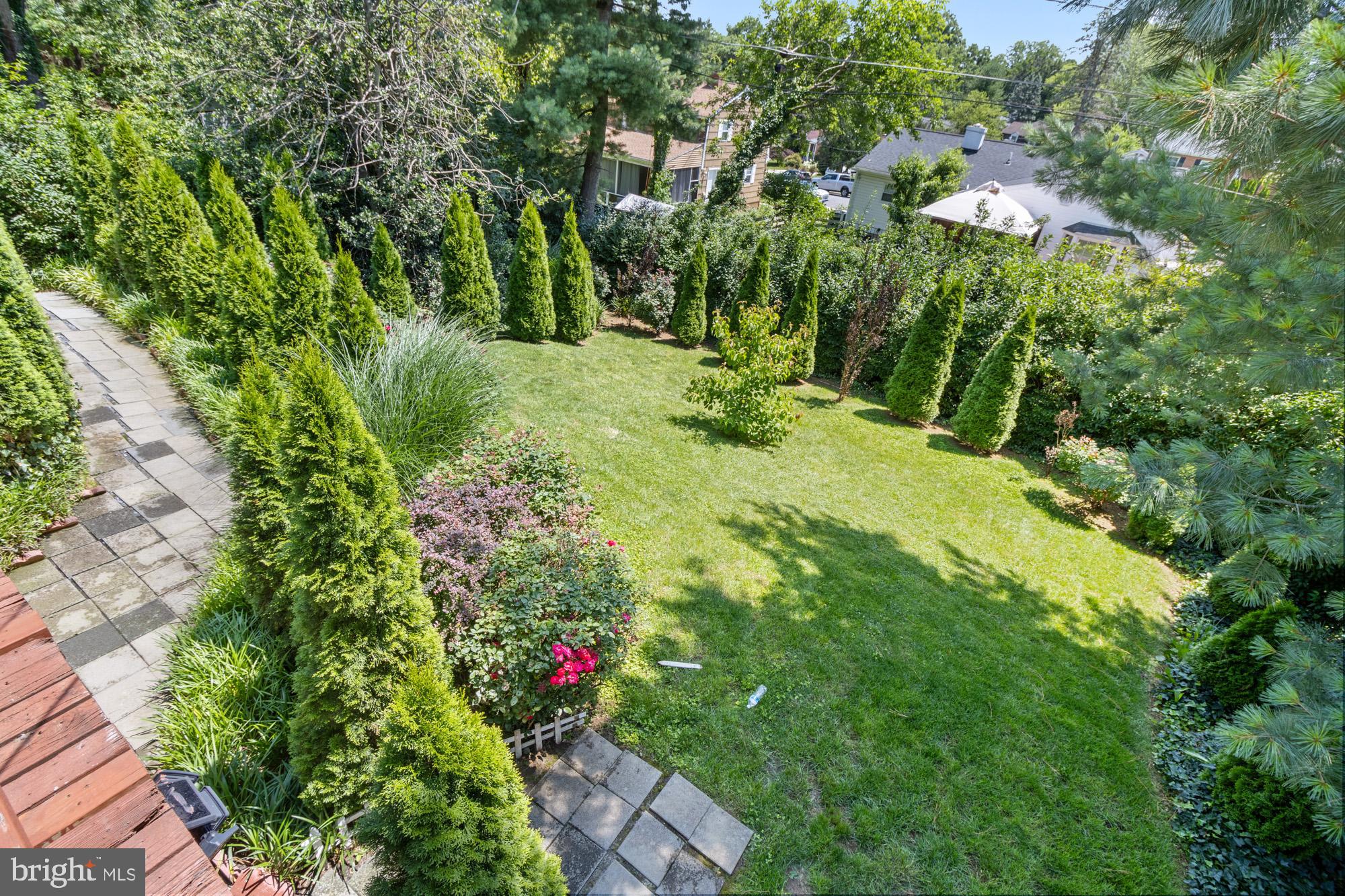 1429 Adamsview Road Baltimore, MD 21228 - Photo 39 of 44 a view of a garden with plants