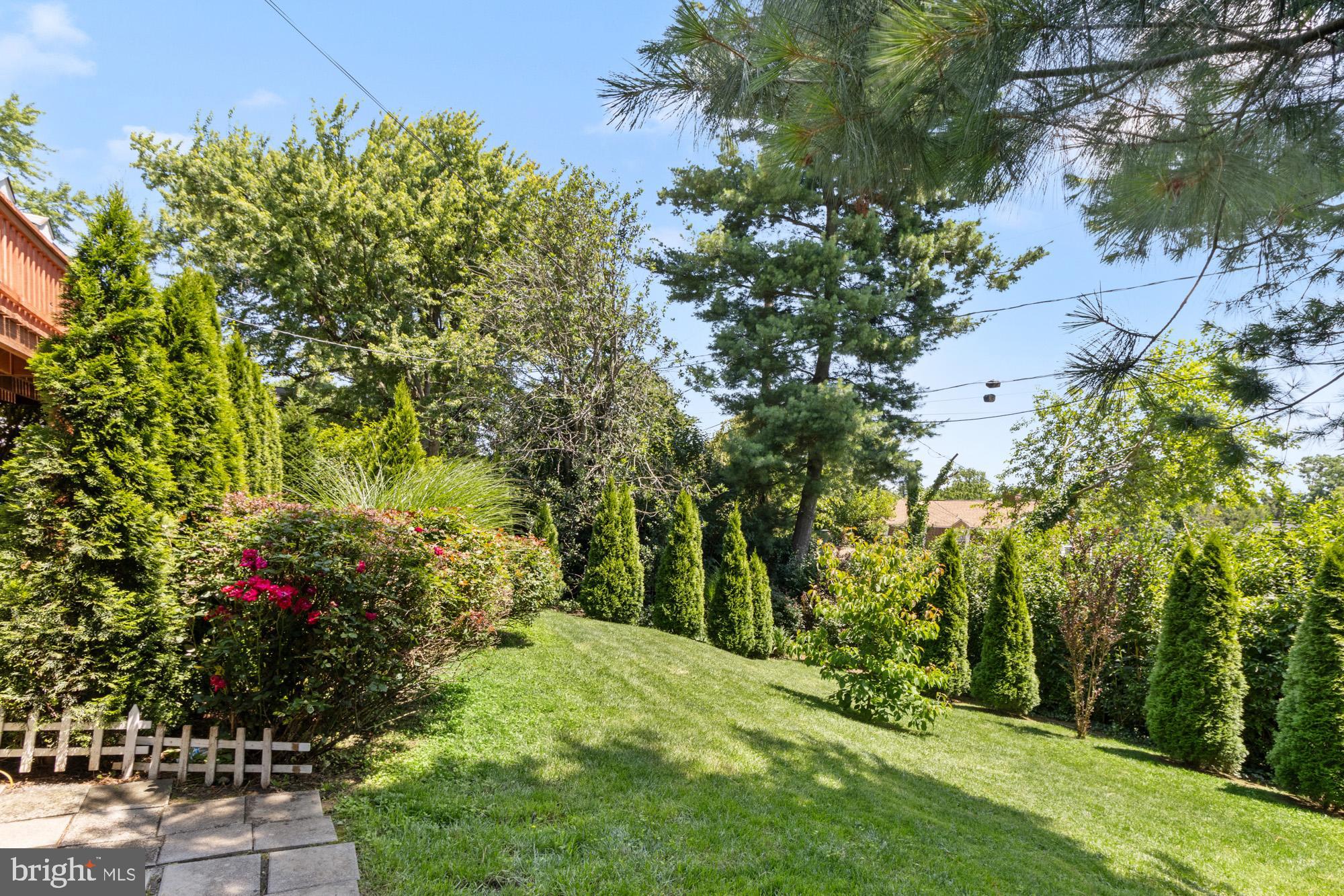 1429 Adamsview Road Baltimore, MD 21228 - Photo 43 of 44 a view of a yard with plants