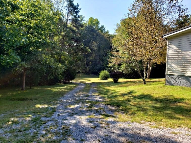 449 Reed Road Ten Mile, TN 37880 - Photo 10 of 51 Gallery Image 10