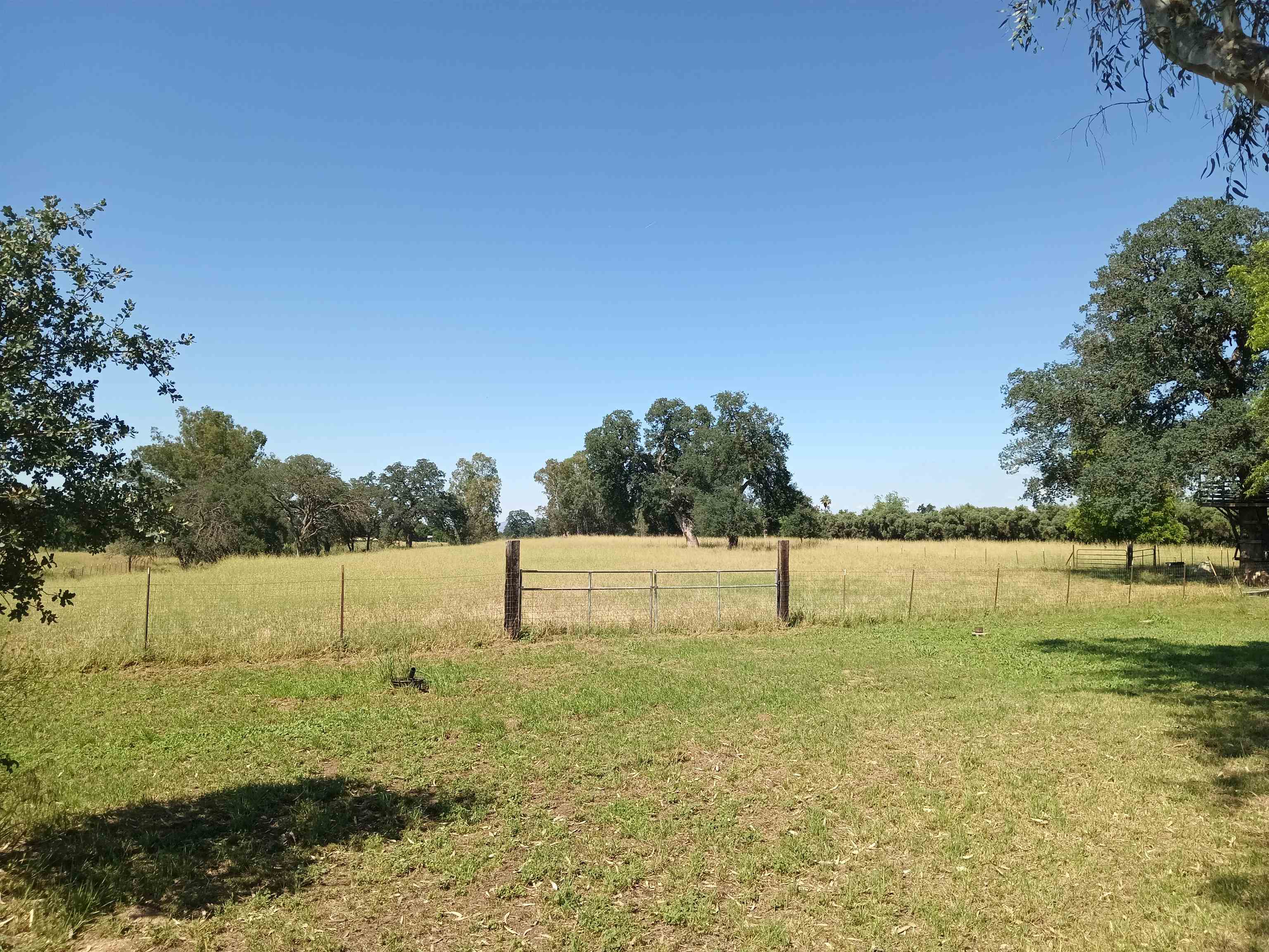 23590 Gyle Road Gerber, CA 96035 - Photo 25 of 29
