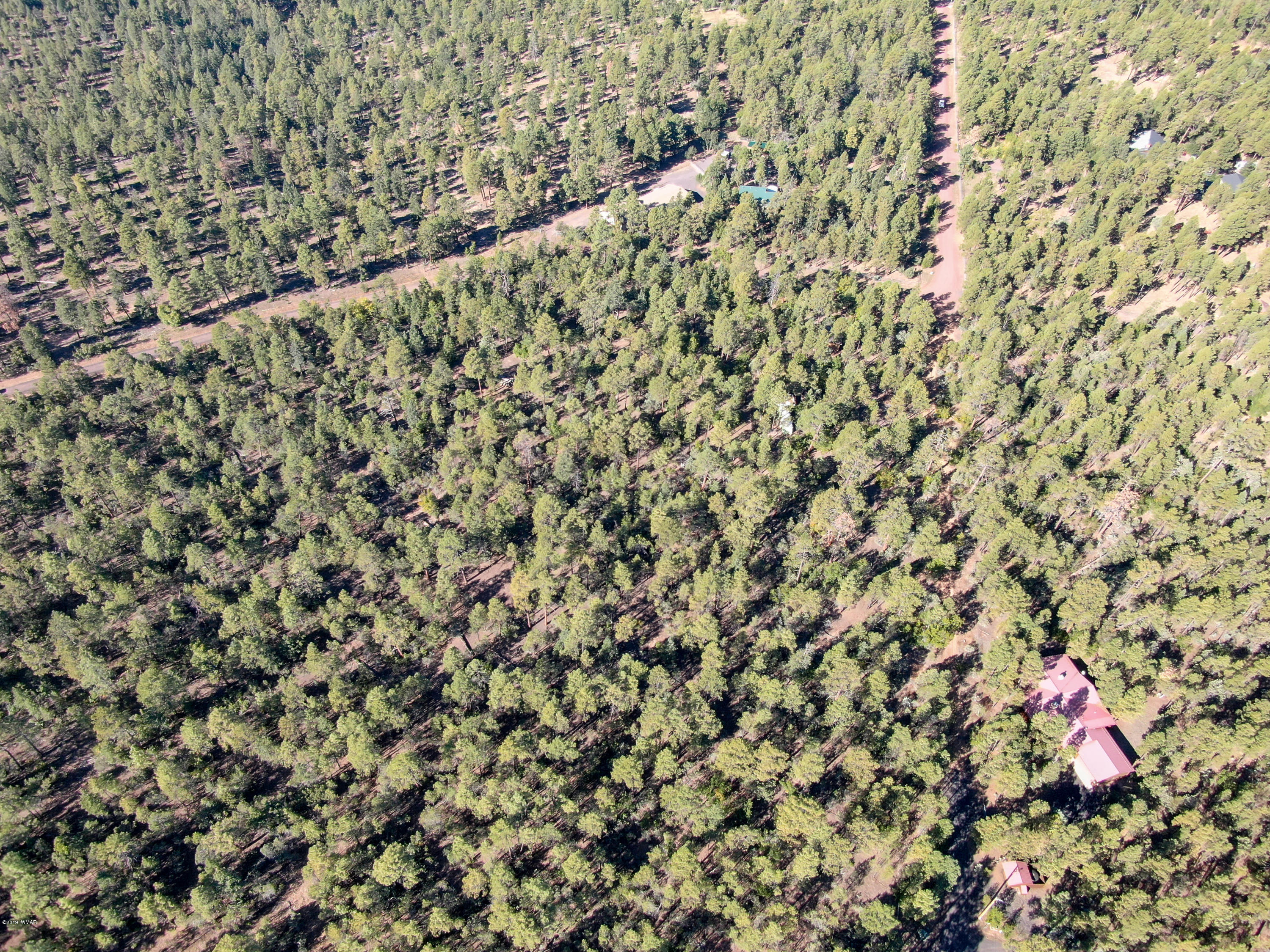 5-acres Rim Spur Lakeside, AZ 85929 - Photo 4 of 8