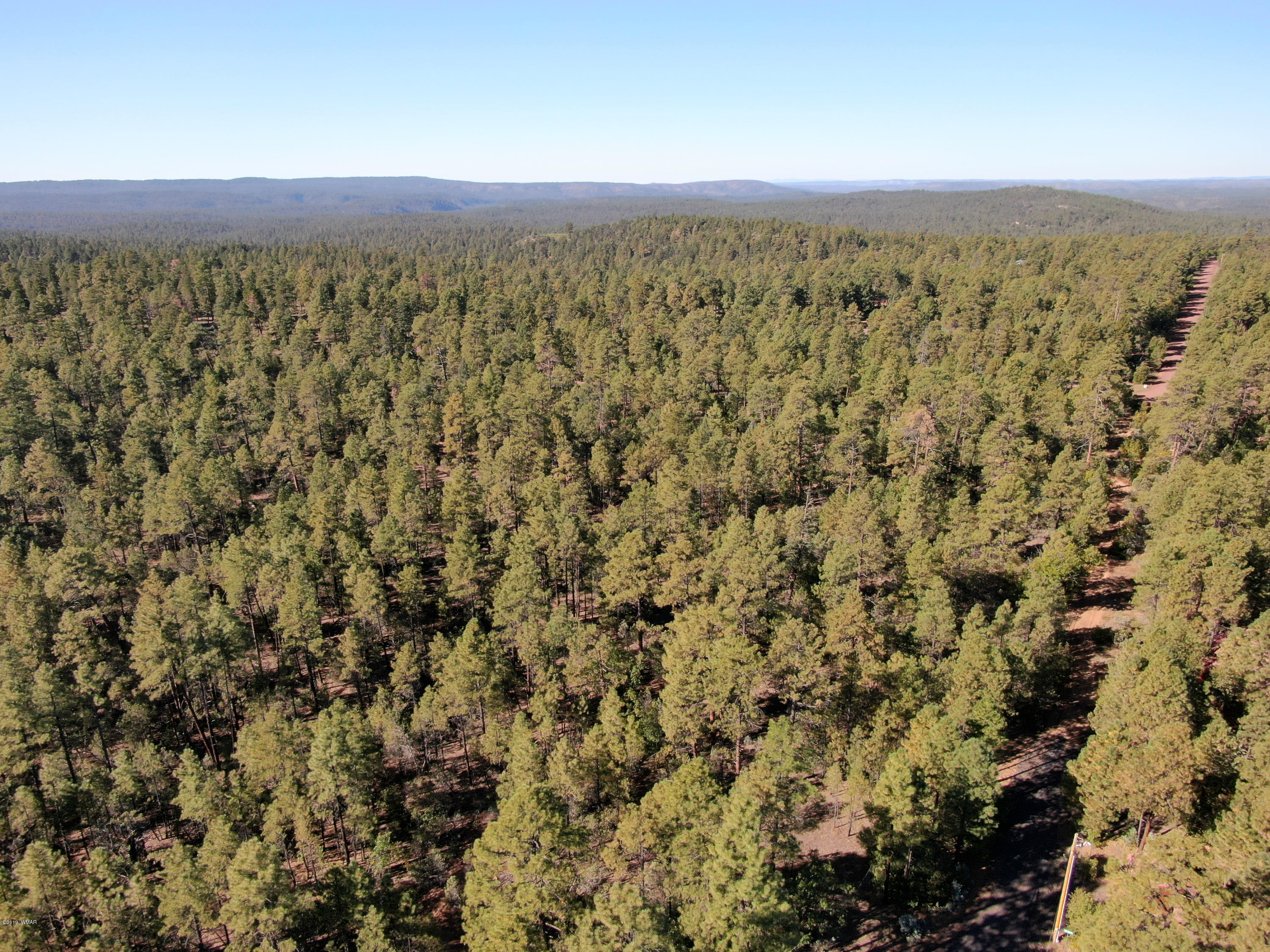 5-acres Rim Spur Lakeside, AZ 85929 - Photo 5 of 8