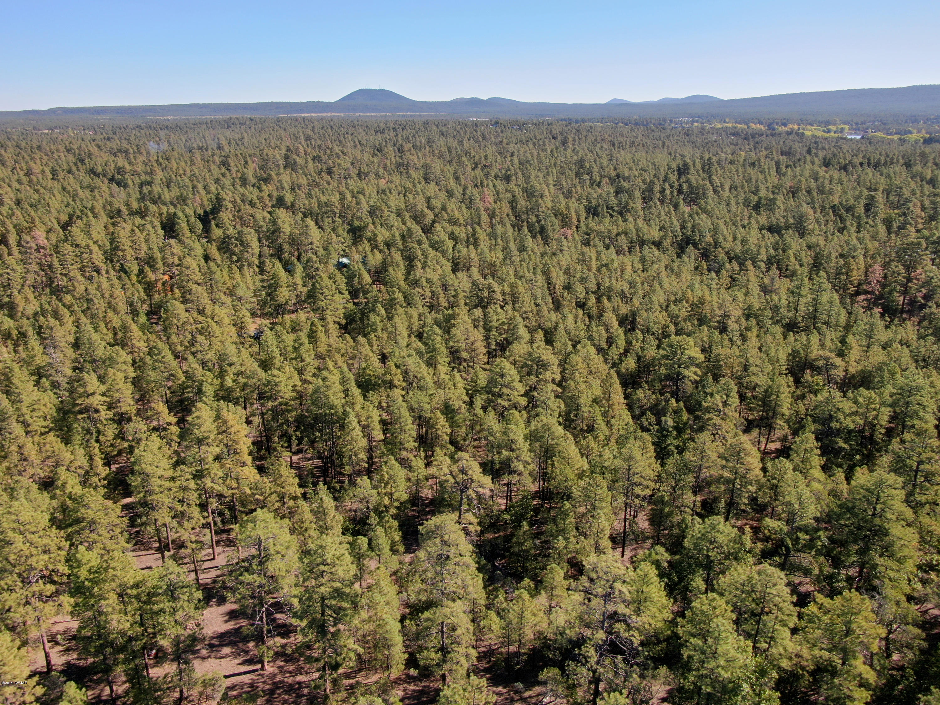 5-acres Rim Spur Lakeside, AZ 85929 - Photo 7 of 8