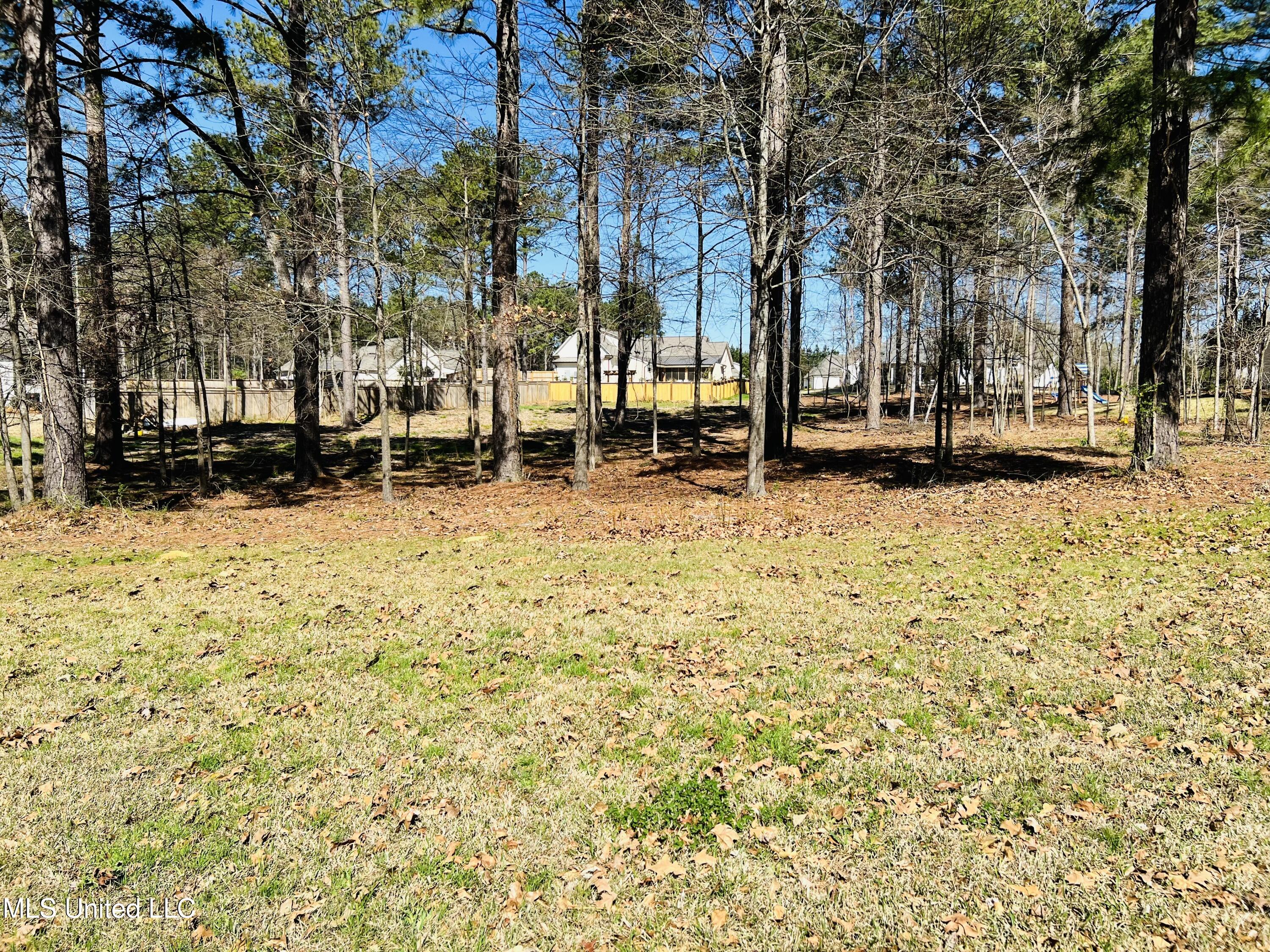 192 Harbor View Drive Madison, MS 39110 - Photo 11 of 13 PIC2