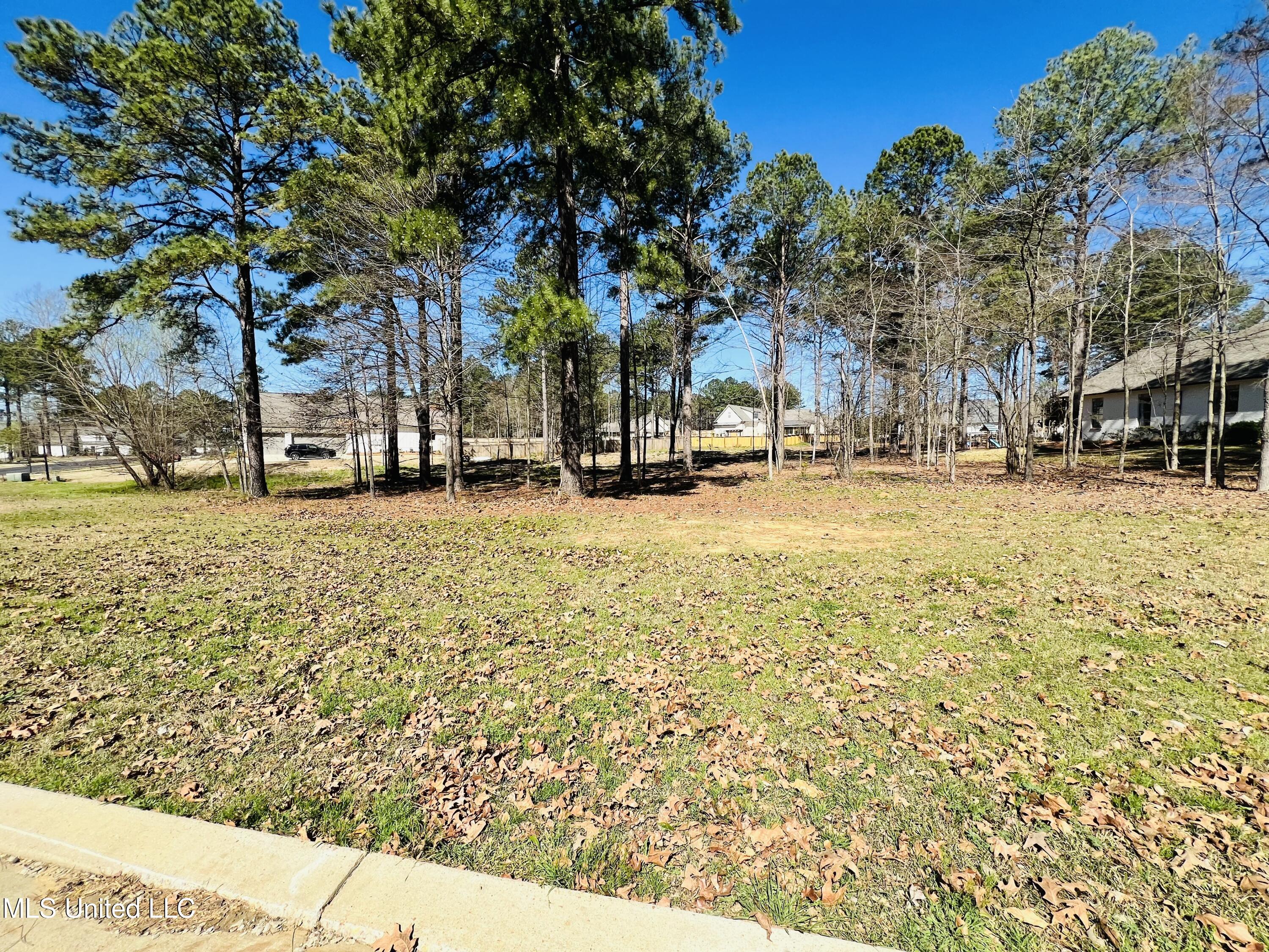 192 Harbor View Drive Madison, MS 39110 - Photo 12 of 13 PIC1