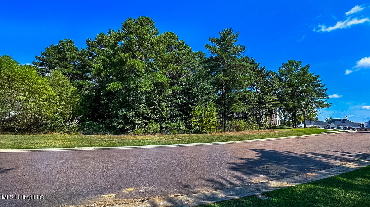 192 Harbor View Drive Madison, MS 39110 - Photo 6 of 13 16