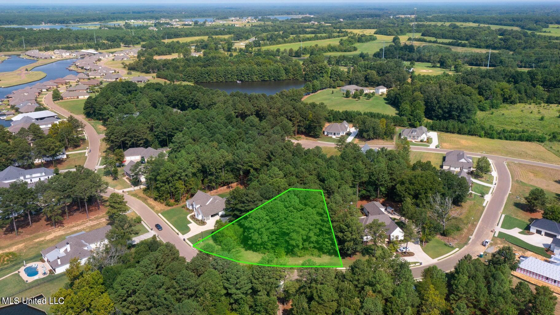 192 Harbor View Drive Madison, MS 39110 - Photo 9 of 13 3