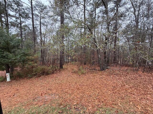 13-46 Sumter Lane McCormick, SC 29835 - Photo 4 of 10 IMG_5930