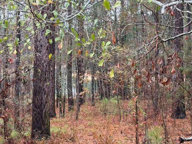 $165,000 | 13-46 Sumter Lane, McCormick, SC 29835