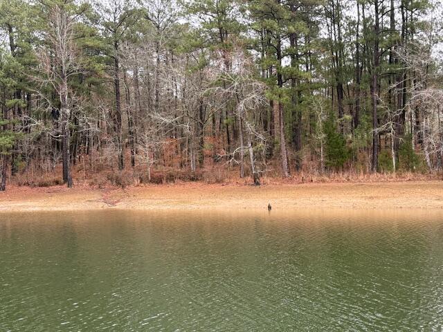 13-46 Sumter Lane McCormick, SC 29835 - Photo 6 of 10 IMG_5944