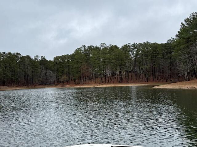 13-46 Sumter Lane McCormick, SC 29835 - Photo 8 of 10 IMG_5947