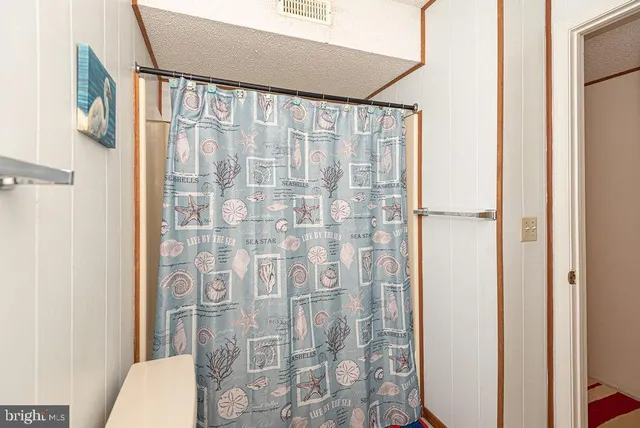 a white toilet sitting next to a shower curtain