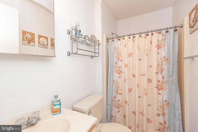 a bathroom with a sink a toilet and shower curtain