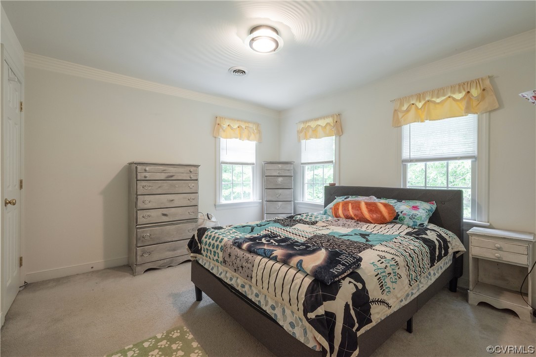 3530 Timberview Road Powhatan, VA 23139 - Photo 25 of 50 a bedroom with a bed and two windows