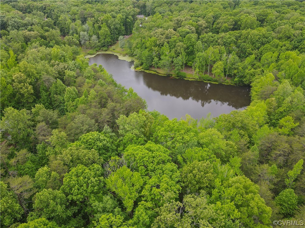 3530 Timberview Road Powhatan, VA 23139 - Photo 50 of 50 an aerial view of a trees